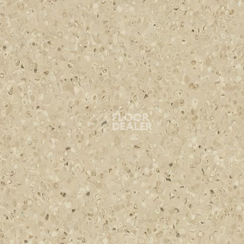 Линолеум Forbo Sphera Essence 50504 biscuit фото 1 | FLOORDEALER